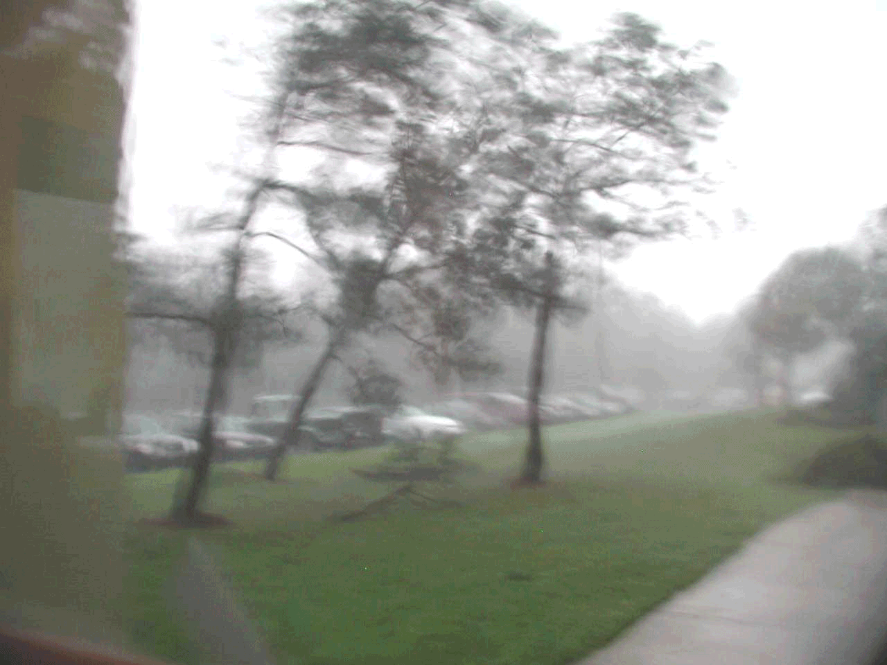 LOOKING THROUGH THE KNOTHOLE VIII